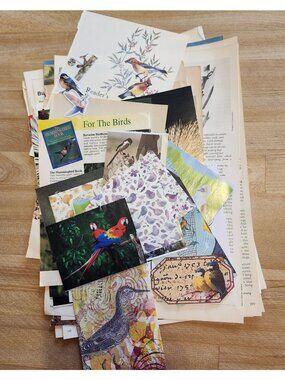 45+ Piece Bird Theme Ephemera Lot Junk Journal Kit Paper Mixed Bundle